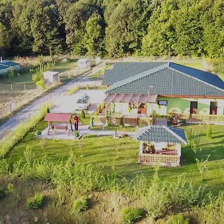 Agropensiunea Valea Fagilor Luncavita 外观 照片