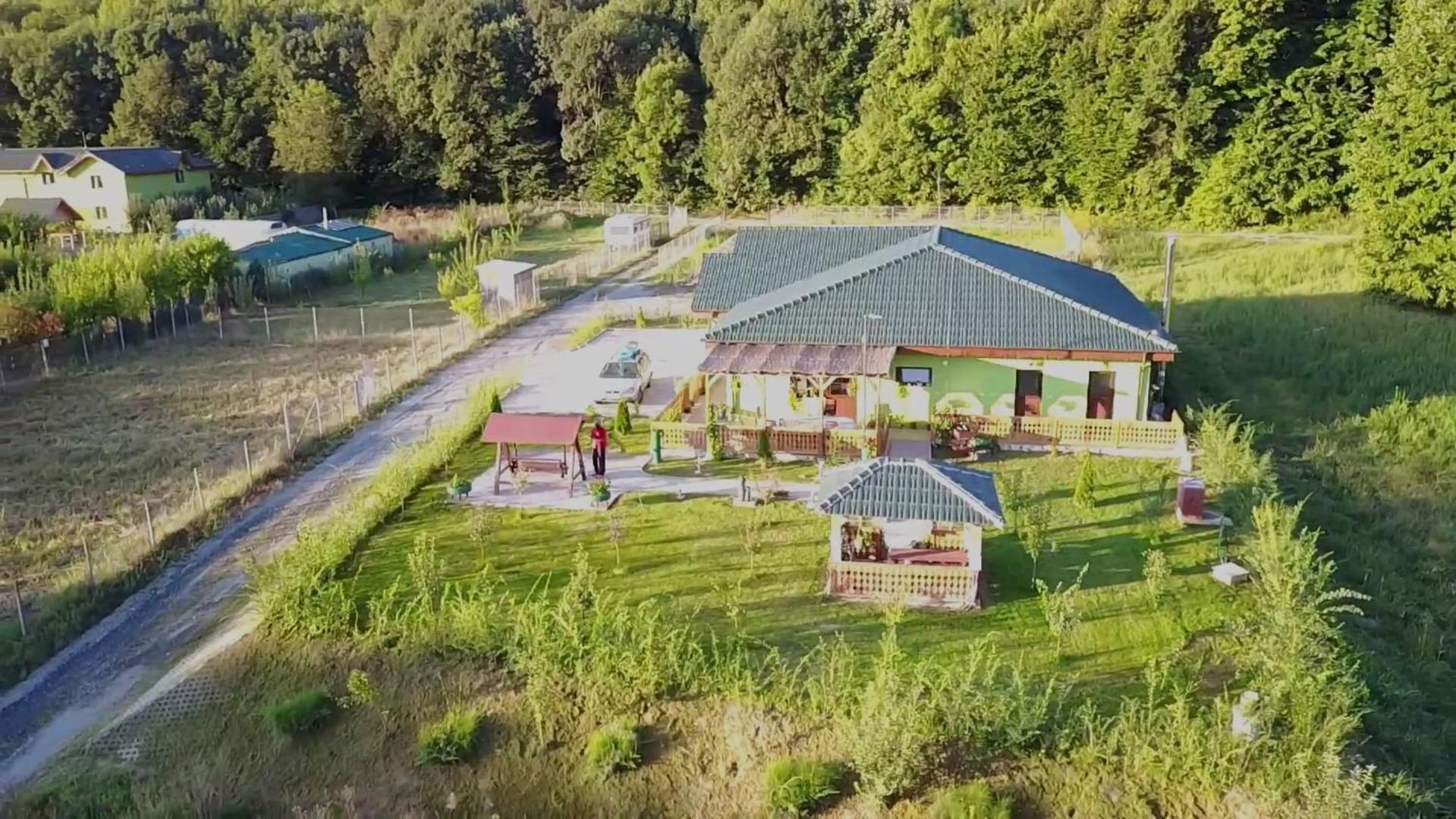Agropensiunea Valea Fagilor Luncavita 外观 照片
