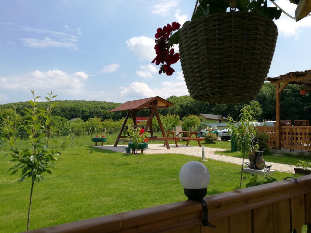 Agropensiunea Valea Fagilor Luncavita 外观 照片