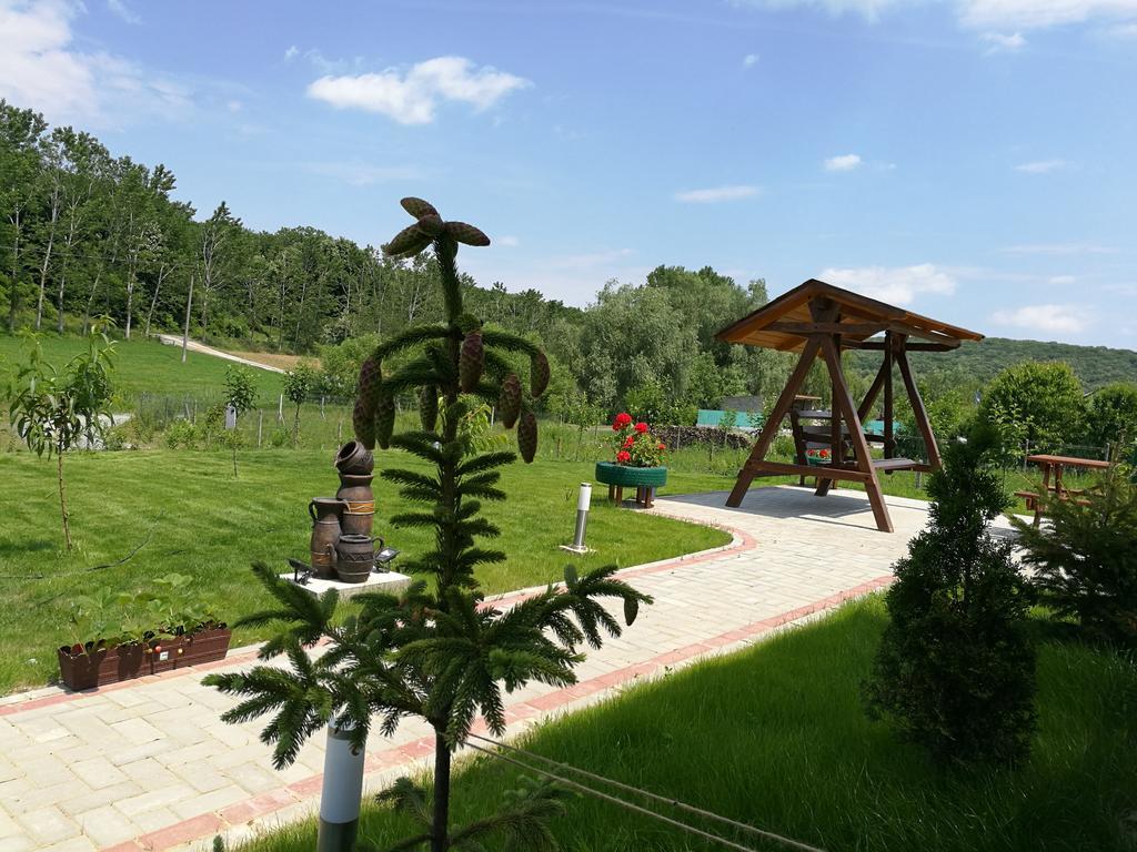 Agropensiunea Valea Fagilor Luncavita 外观 照片
