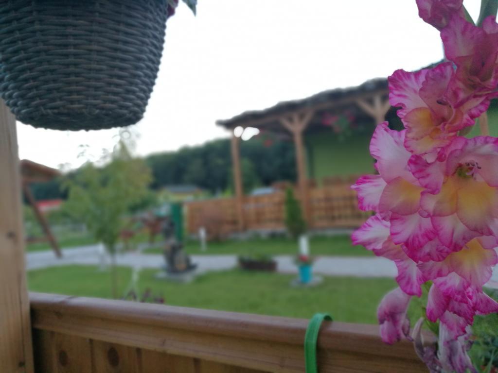 Agropensiunea Valea Fagilor Luncavita 外观 照片