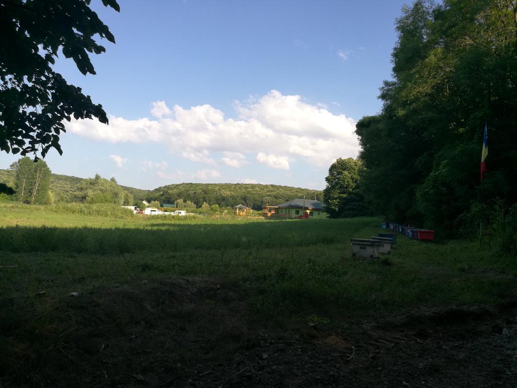 Agropensiunea Valea Fagilor Luncavita 外观 照片