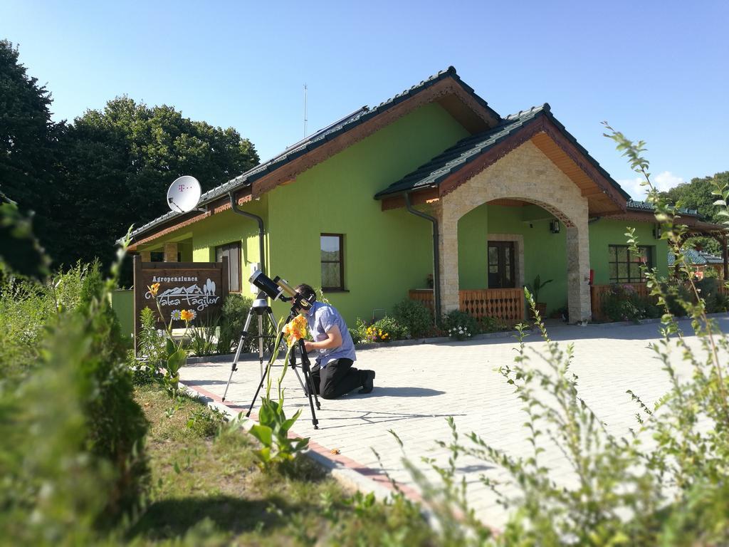 Agropensiunea Valea Fagilor Luncavita 外观 照片