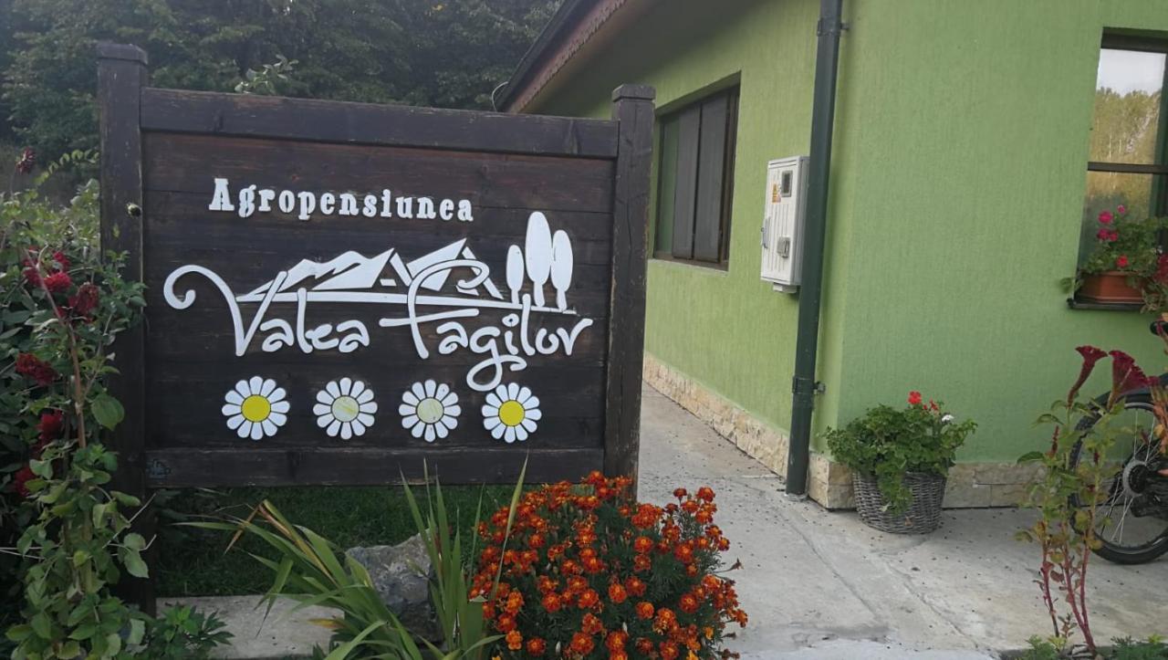 Agropensiunea Valea Fagilor Luncavita 外观 照片